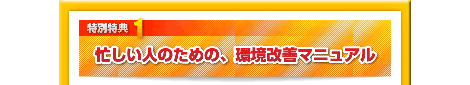 【特別特典１】忙しい人のための、環境改善マニュアル